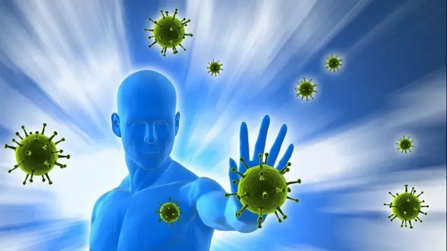 Immuniti+ : Zusammensetzung nur natürliche Zutaten
